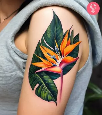 8 Beautiful Bird Of Paradise Tattoo Designs With Meanings