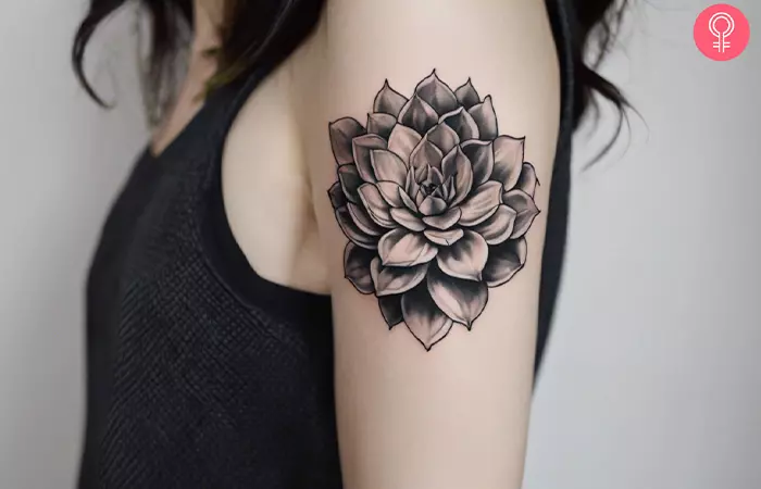 woman with black and white succulent tattoo on her upper arm
