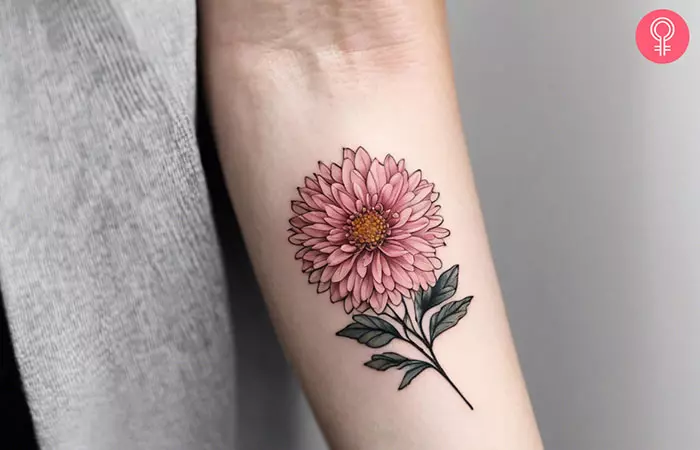 A pink chrysanthemum flower tattoo on a woman’s forearm