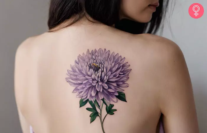 A lavender chrysanthemum tattoo on a woman’s back