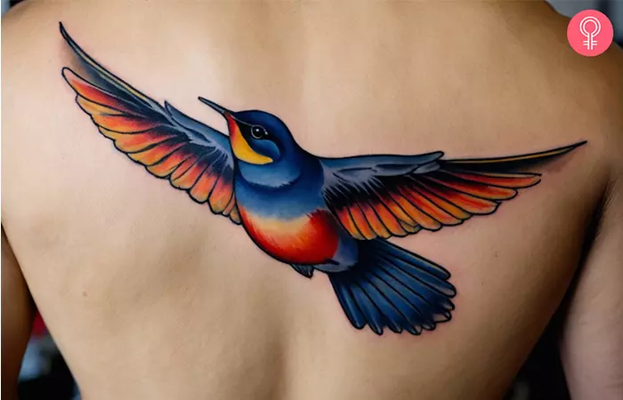 Nautical swallow tattoo on the back