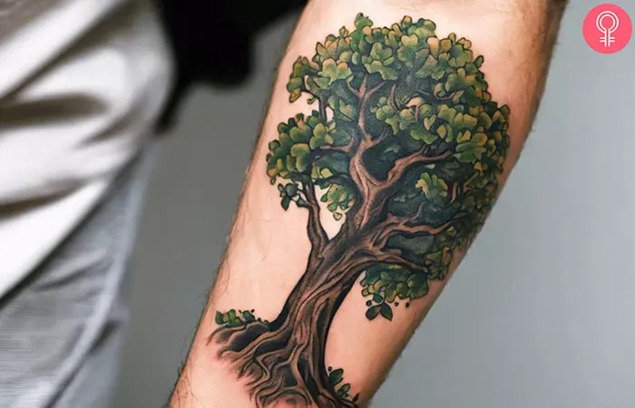 An oak tree forearm tattoo on a man