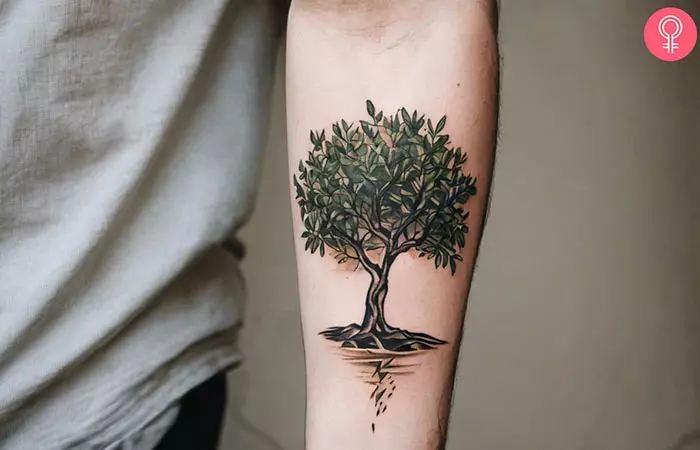 An olive tree forearm tattoo on a man