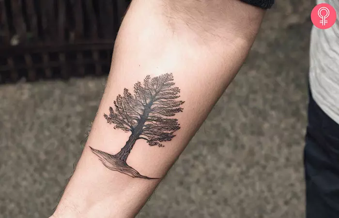 A simple forearm tree tattoo on a man