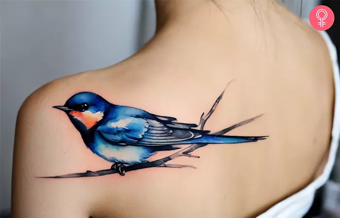 Swallow tattoo on the back shoulder