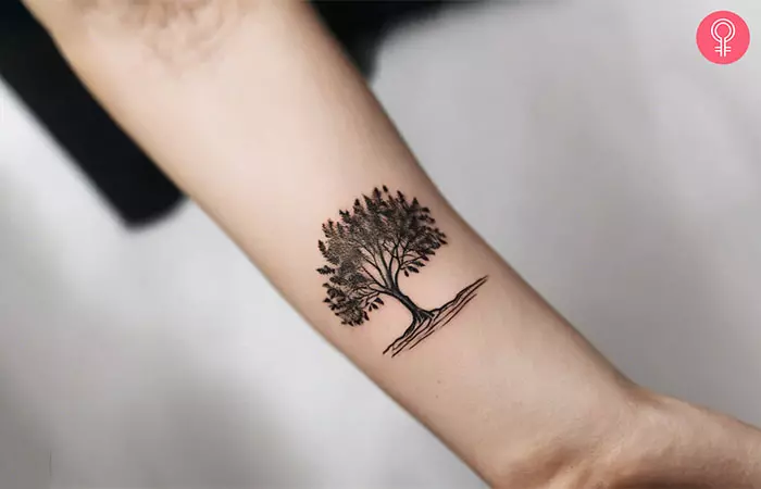 A willow tree growth tattoo on the inner arm