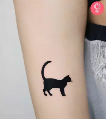 Cutesy and delightful body art ideas to show your love for your cherished feline friends.