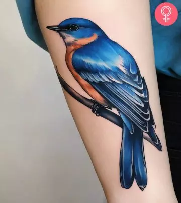 Woman with a blue jay tattoo on her upper arm