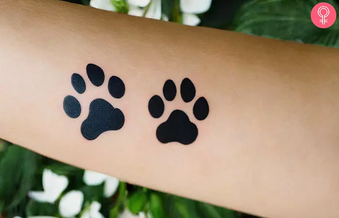 A dog paw print tattoo on the forearm