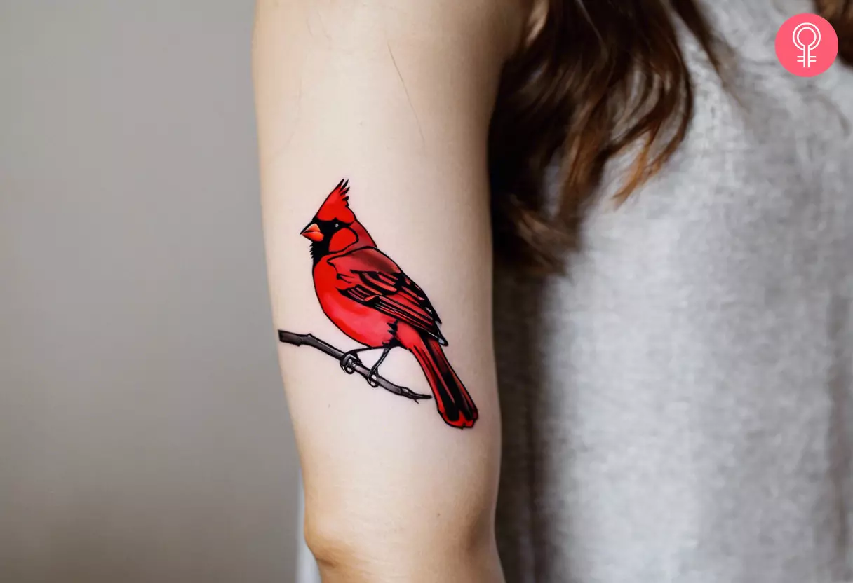 A woman flaunting a red cardinal tattoo on the upper arm