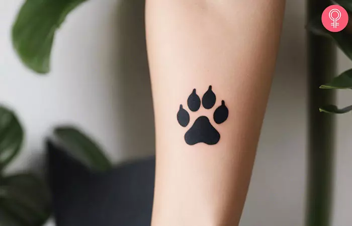 A cat paw print tattoo on the forearm