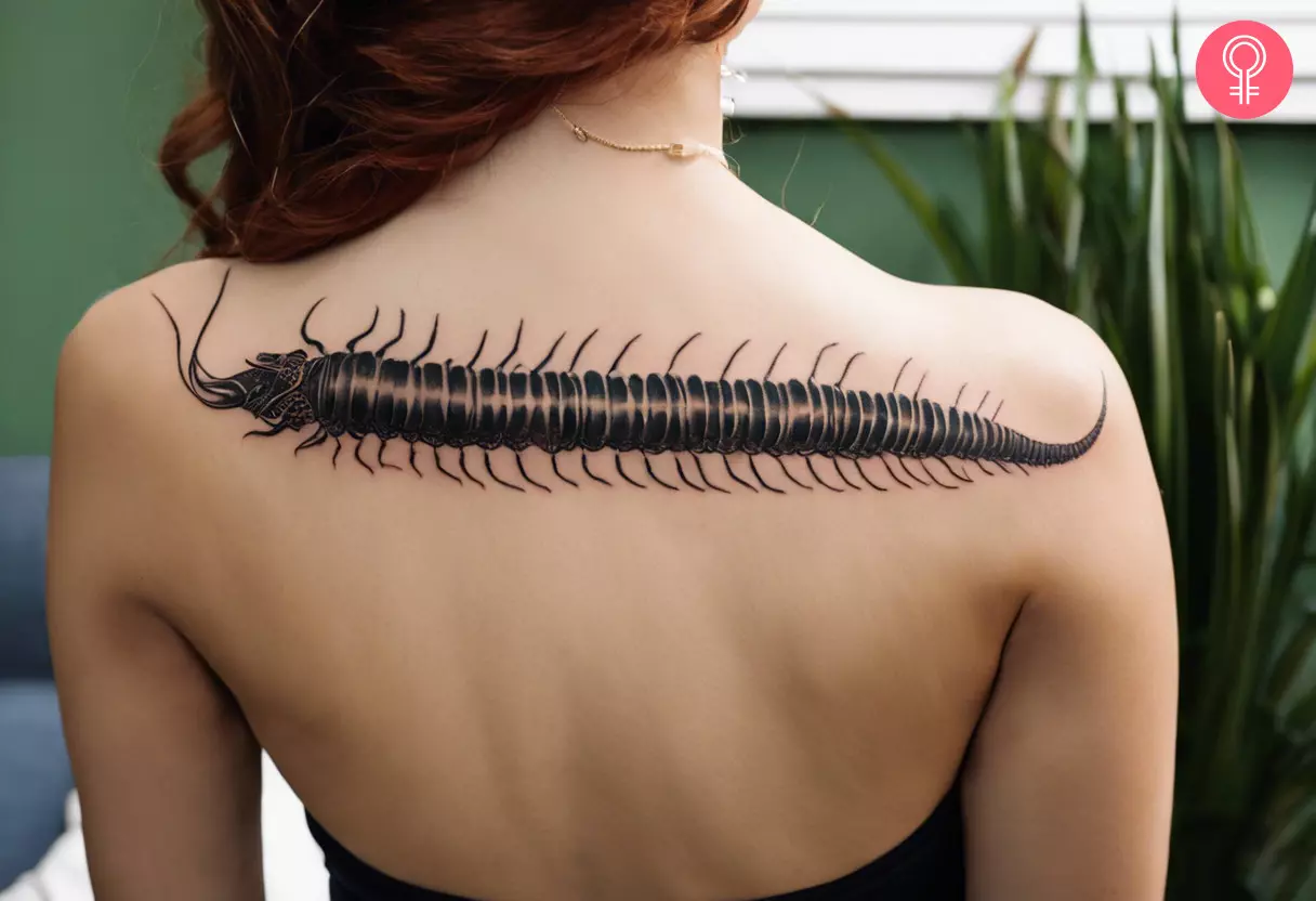 Centipede tattoo on the back