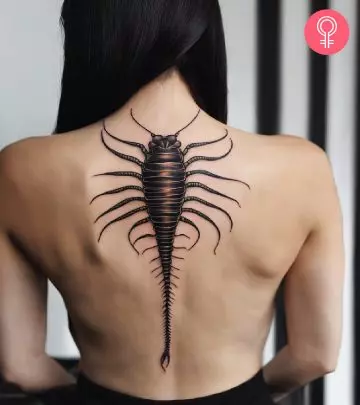 Centipede tattoo on the back