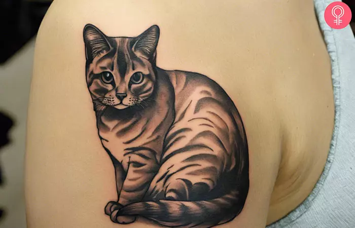 A fat cat tattoo on the forearm