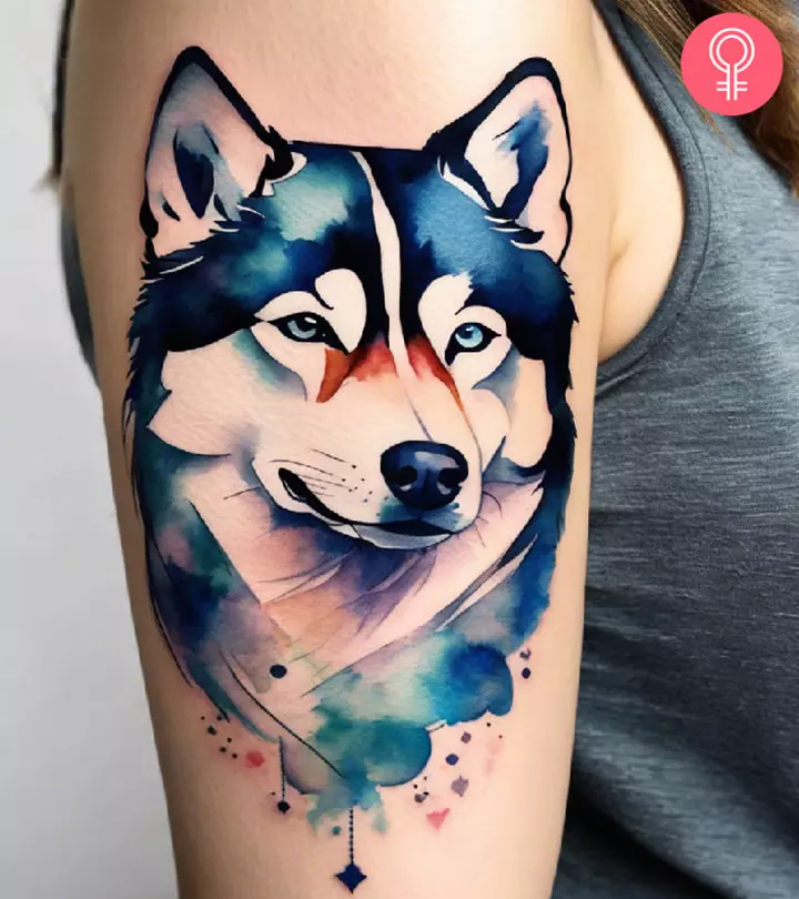 Husky tattoo on the arm