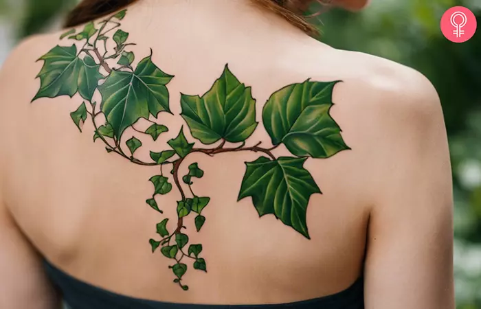 Ivy Plant Tattoo on the upper back