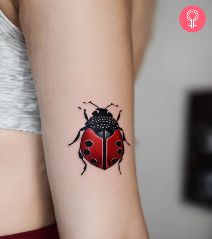 8 Awesome Ladybug Tattoo Ideas, Designs, And Meaning