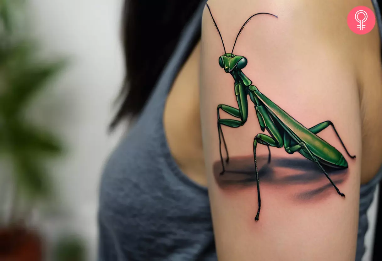 Realistic praying mantis tattoo on the upper arm