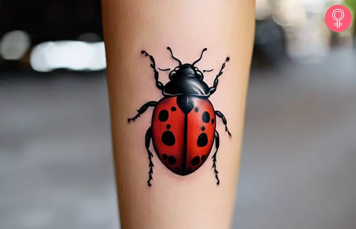 Traditional Ladybug Tattoo