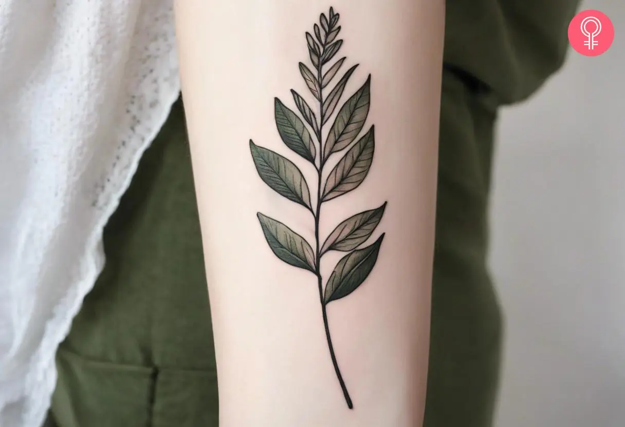 A botanical plant tattoo on the arm