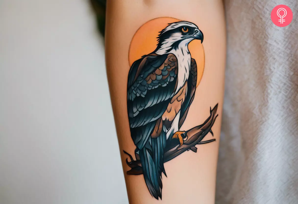 An American traditional osprey tattoo on the forearm