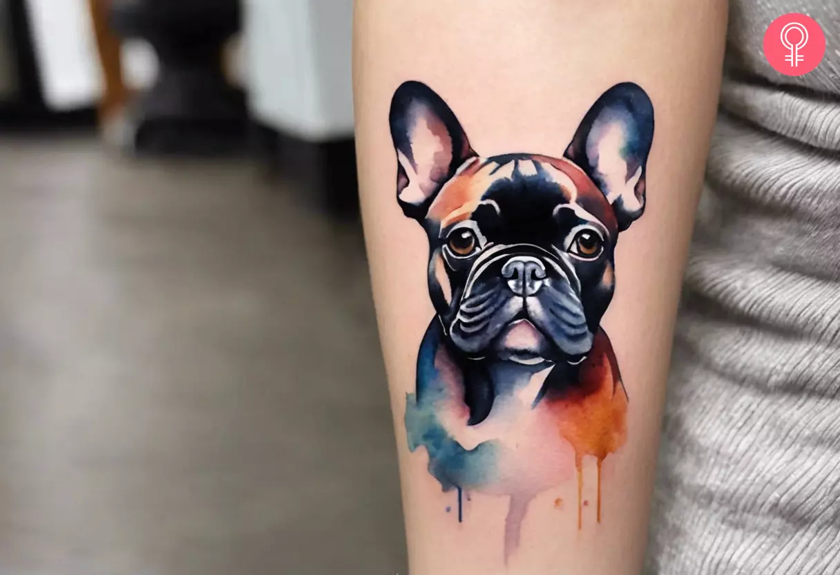 A French bulldog portrait tattoo