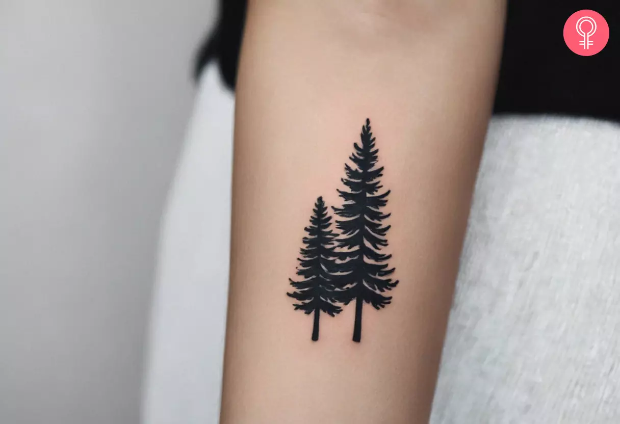 Pine Tree Tattoo Symbolism Designs And Meaning Pine Tree Tattoo Symbolism Designs And Meaning