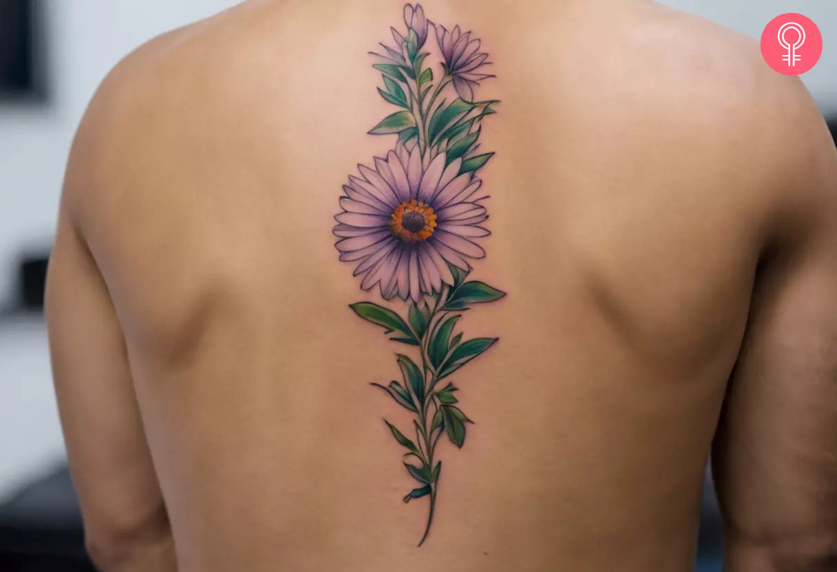 Aster flowers tattoo on the spine