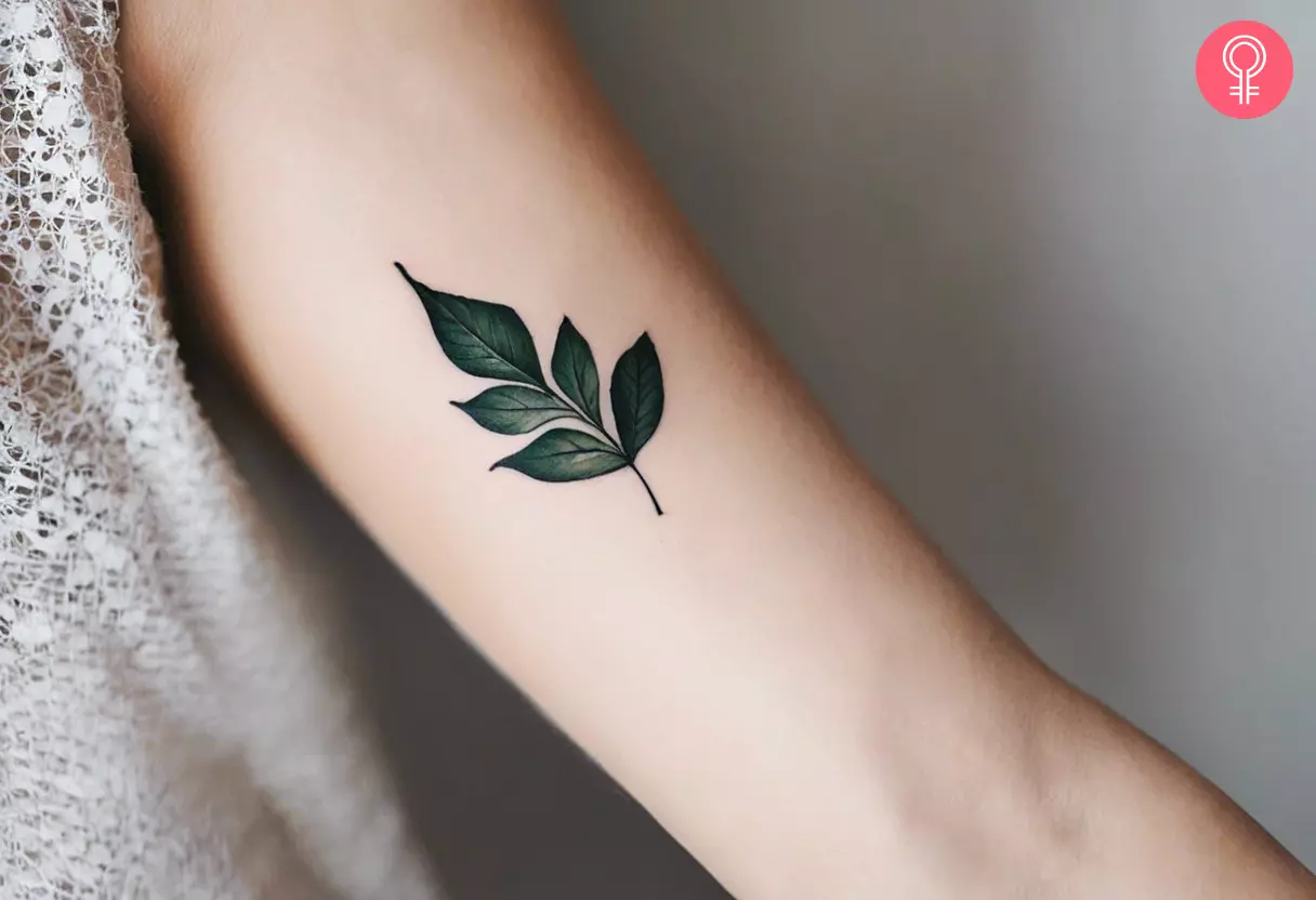 Simple leaf tattoo on the arm