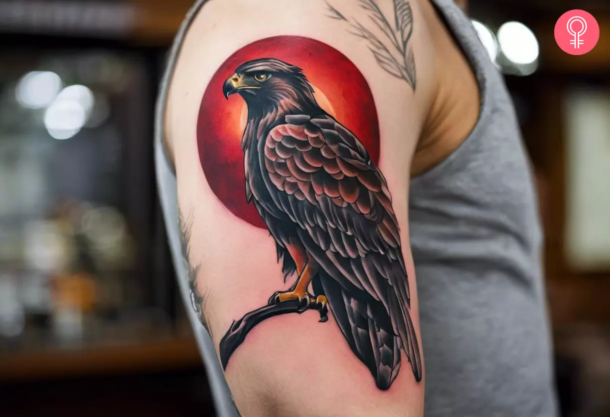 Traditional hawk tattoo on shoulder