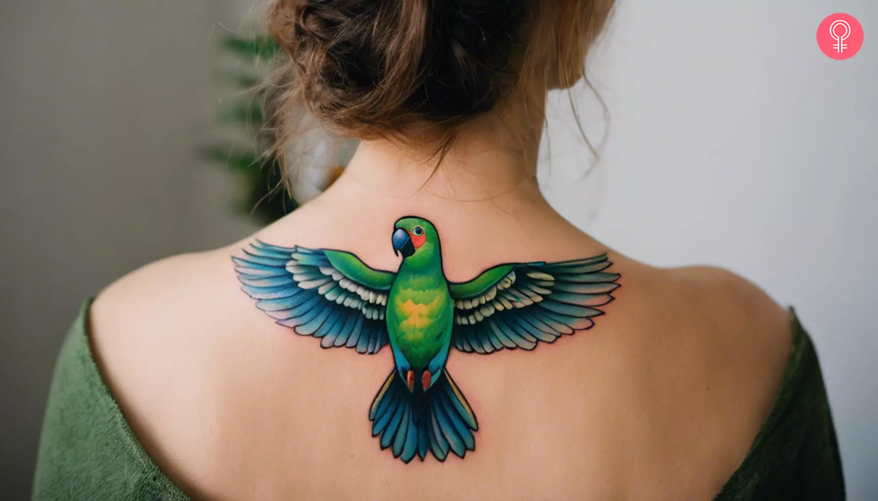 Woman with Quaker parrot tattoo on her upper back