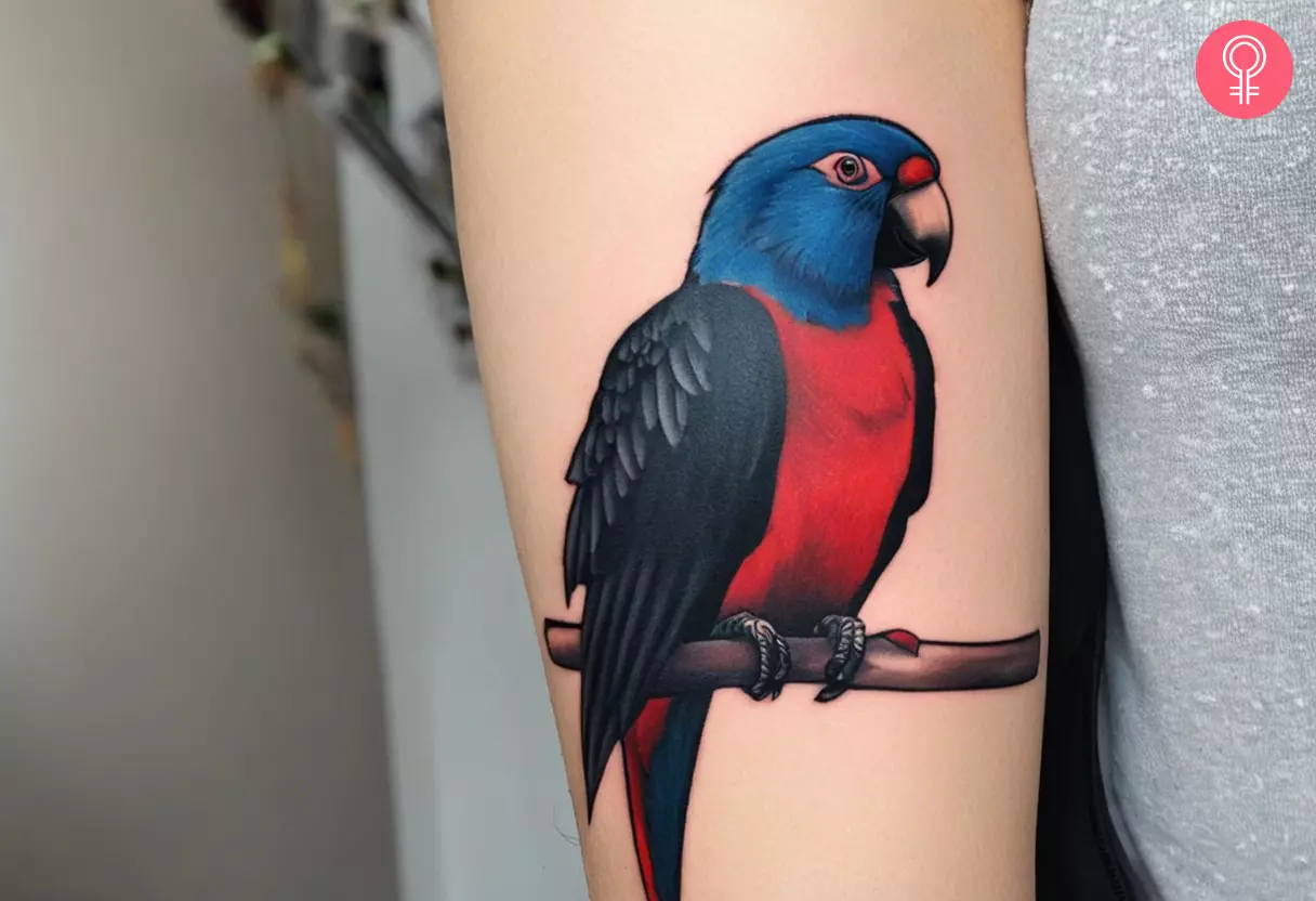 Woman with a Dracula parrot tattoo on her outer arm