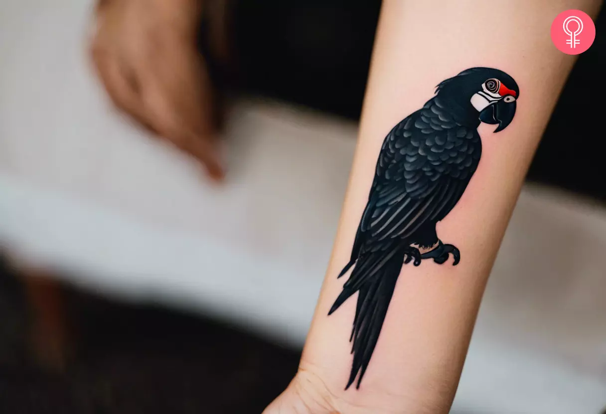 Woman with a black parrot tattoo on her wrist