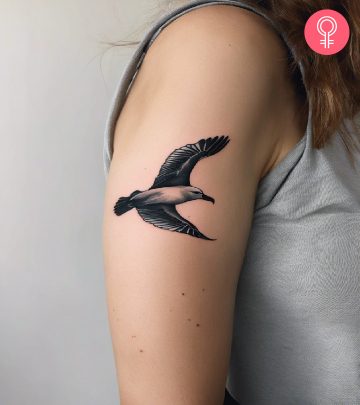 Seagull tattoo on the upper arm