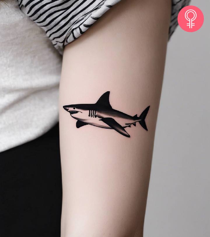 Tiger shark tattoo on the arm