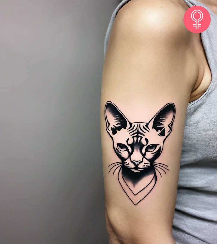 Minimalist sphynx cat tattoo on the upper arm