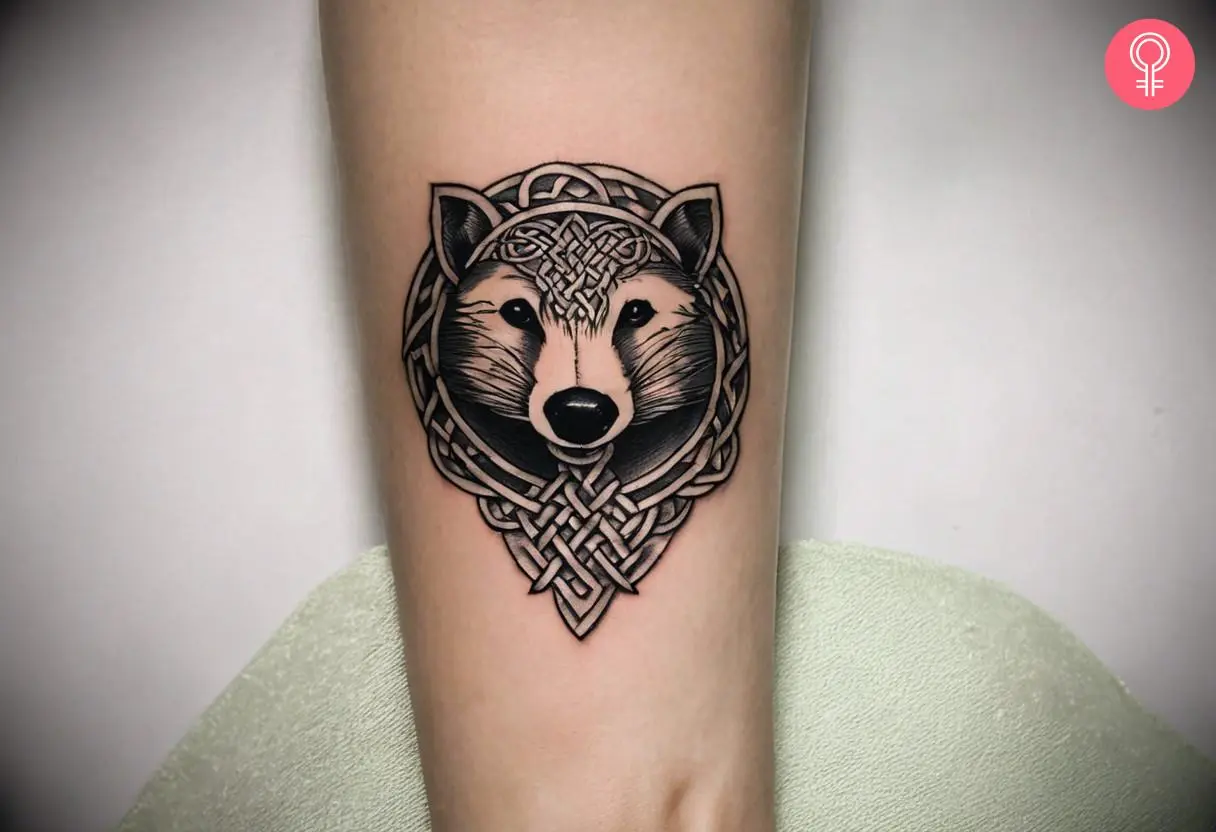 A Celtic badger head tattoo on the forearm