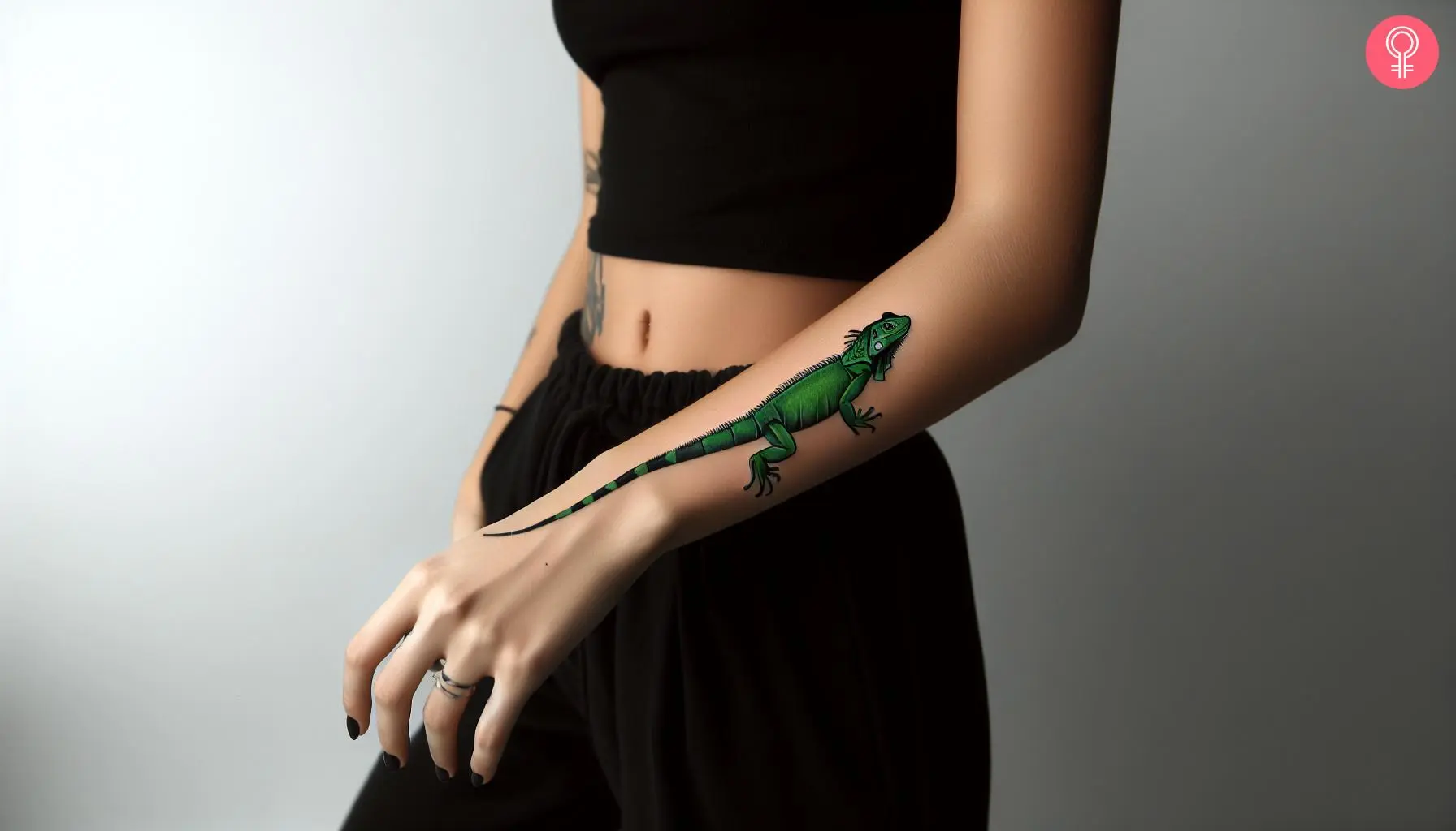 A green iguana tattoo inked on the arm