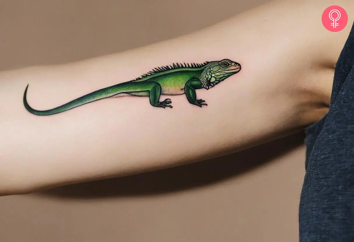 A green iguana tattoo inked on the inner arm