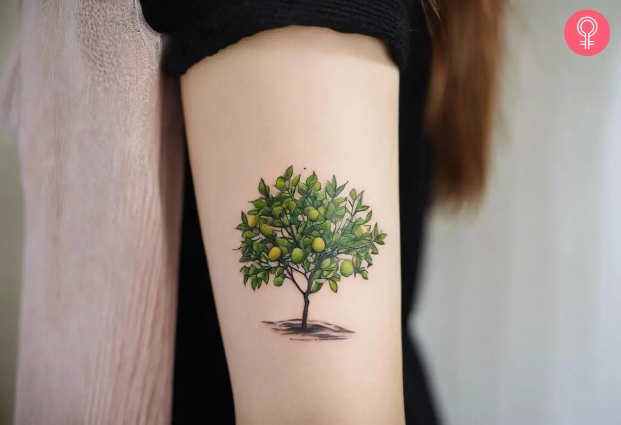 A lime tree tattoo on a woman’s forearm