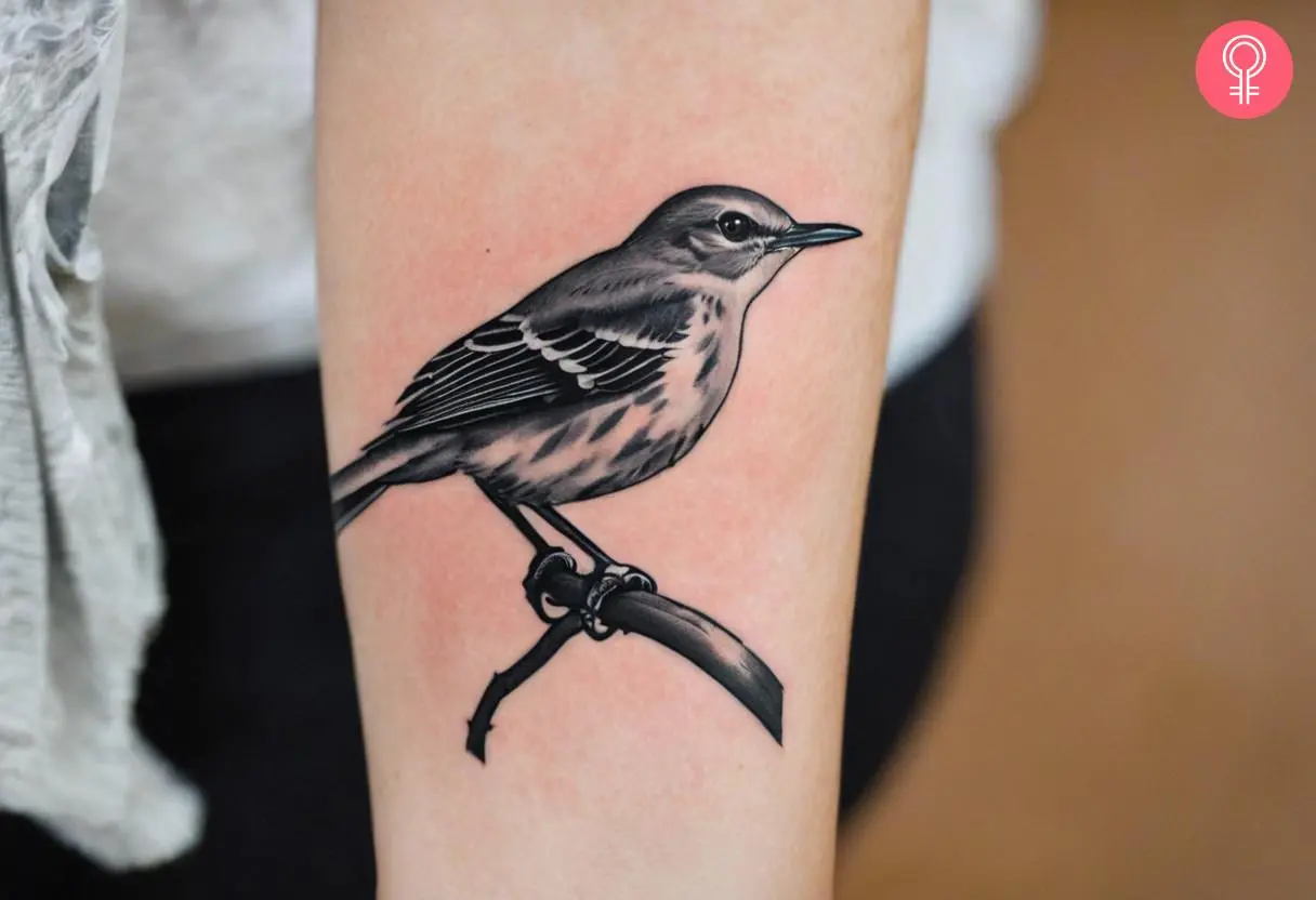 A northern mockingbird tattoo on a woman’s forearm