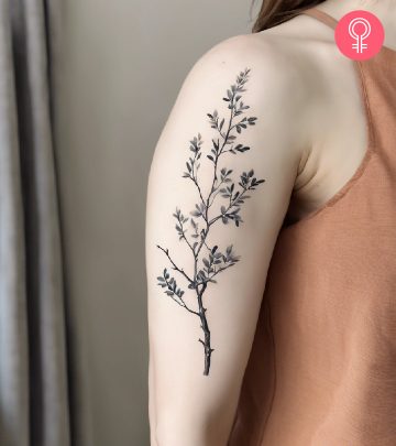 Weeping willow tattoo on upper arm