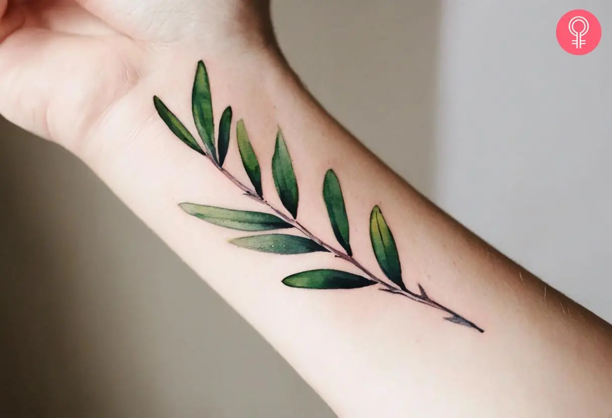 A watercolor tattoo of an olive branch