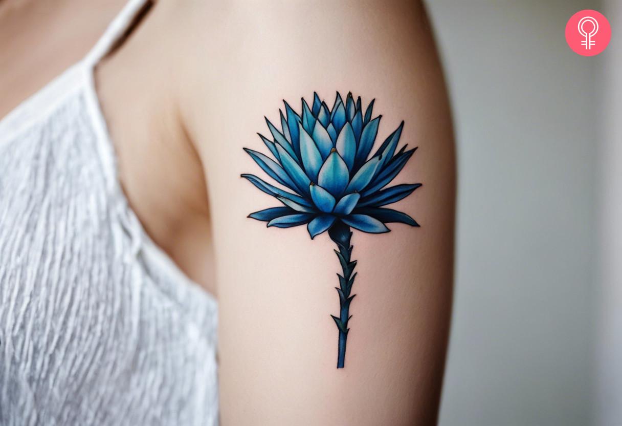 A woman wearing agave azul tattoo on the upper arm.