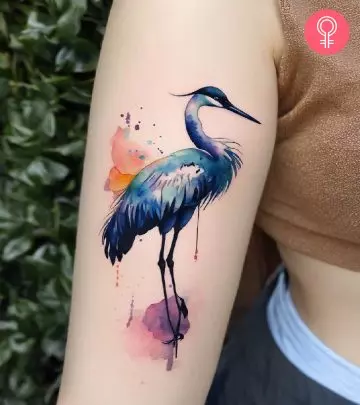 Bird tattoo on the arm of a woman