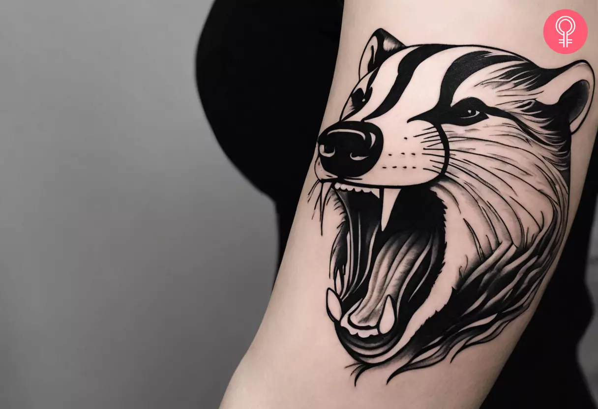 Angry badger tattoo on the arm