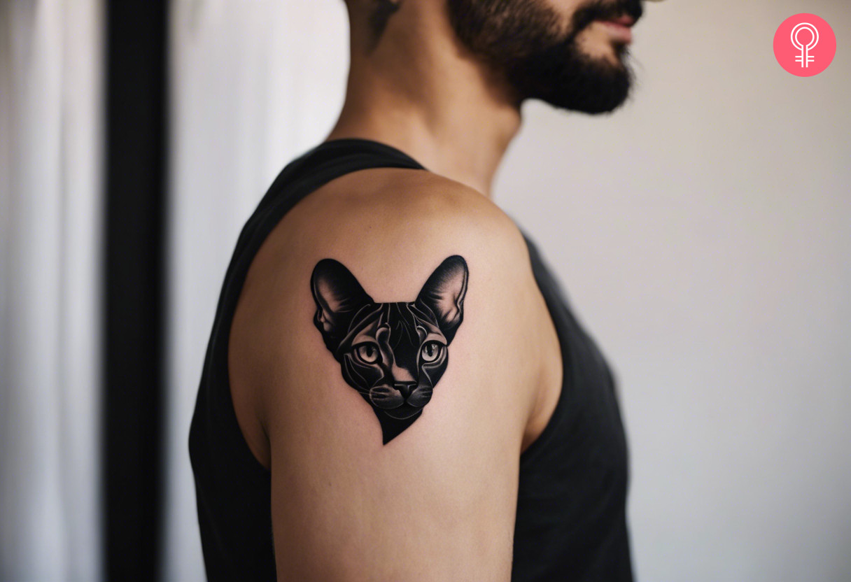 Black Sphynx cat tattoo on the upper arm