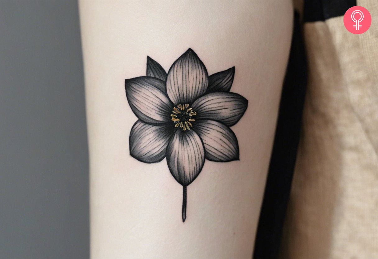 Black and white december birth flower tattoo on the upper arm