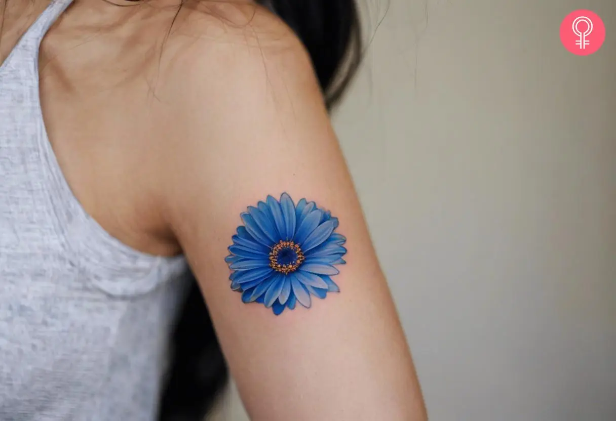 Blue gerbera daisy tattoo on the arm of a woman