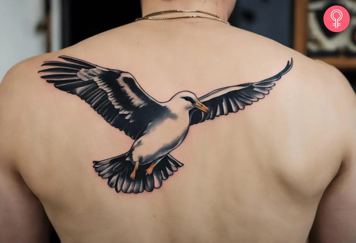 Flying Albatross tattoo on the back